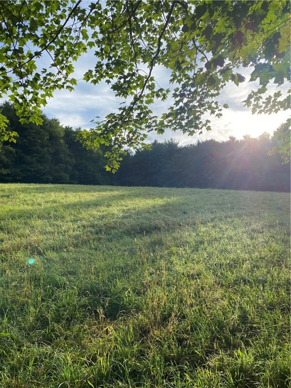 92 Stone House Road Bloomville, NY 13739 - Photo 4 of 16