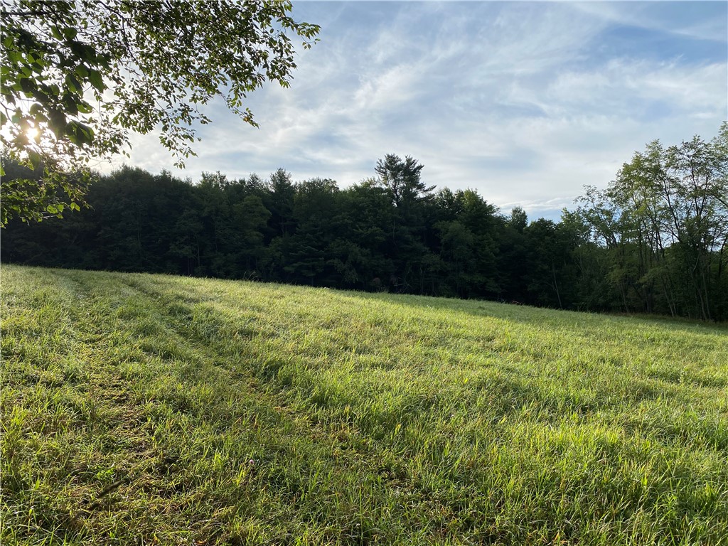 92 Stone House Road Bloomville, NY 13739 - Photo 5 of 16