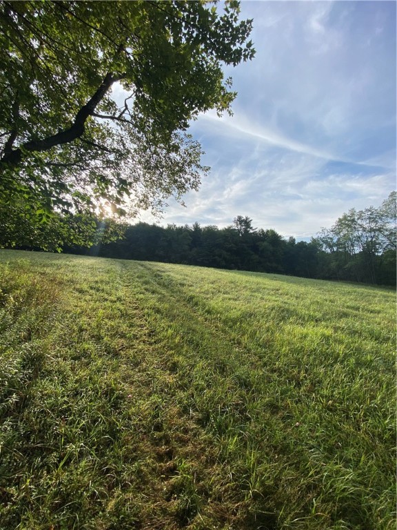 92 Stone House Road Bloomville, NY 13739 - Photo 6 of 16