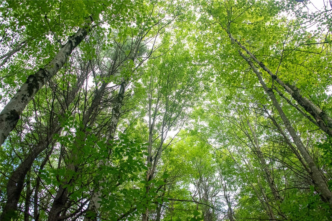 92 Stone House Road Bloomville, NY 13739 - Photo 7 of 16