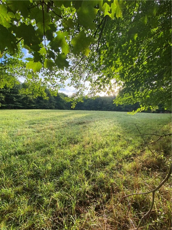 92 Stone House Road Bloomville, NY 13739 - Photo 8 of 16