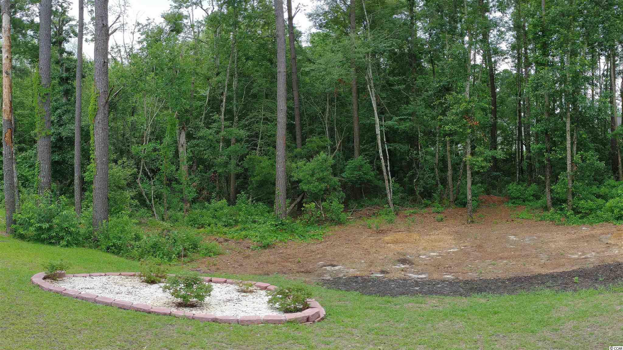 184 Winding Path Drive Loris, SC 29569 - Photo 29 of 31 Gallery Image 29