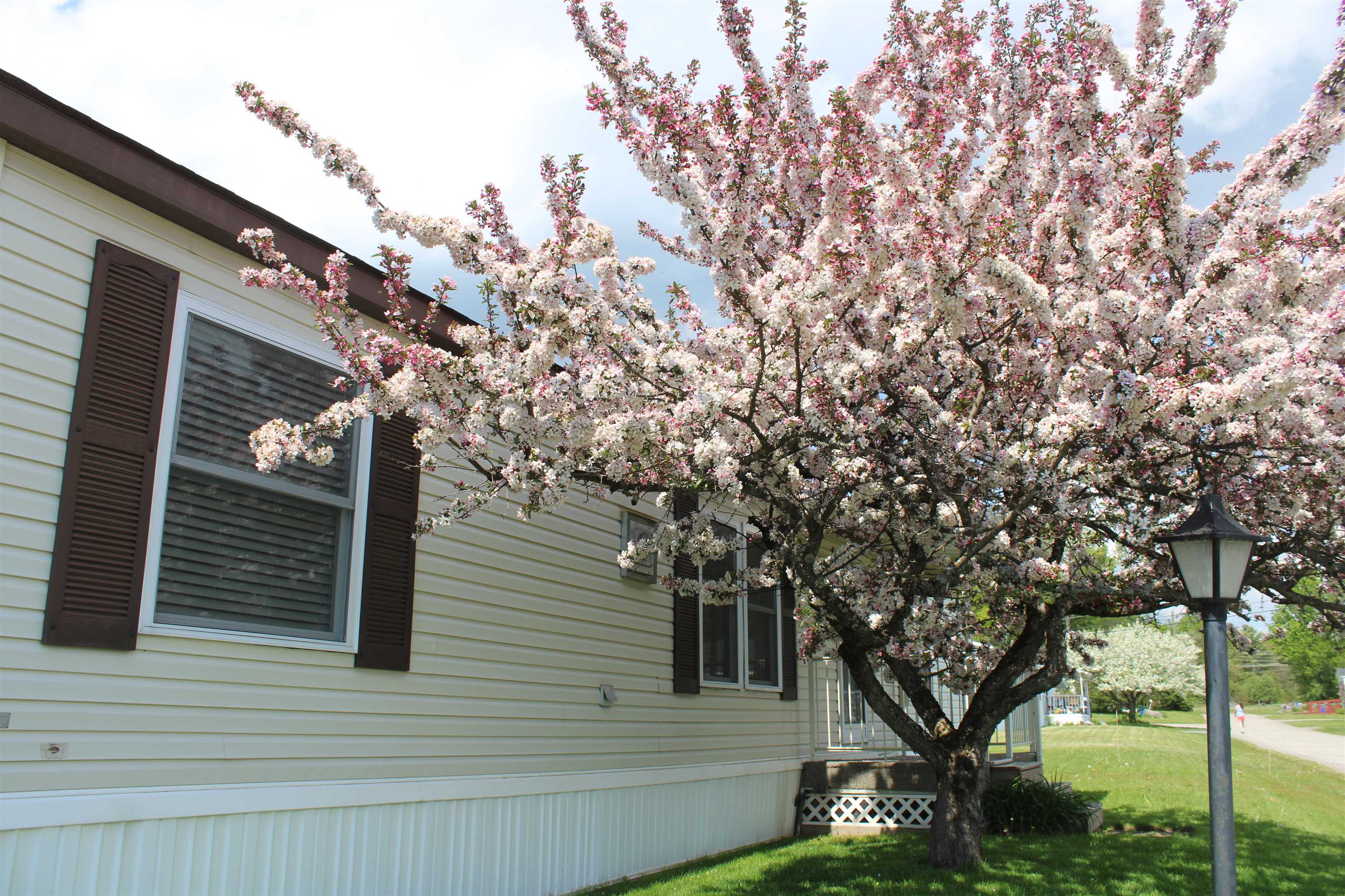 24 Ridgeview Terrace Dalton, NH 03598 - Photo 26 of 32