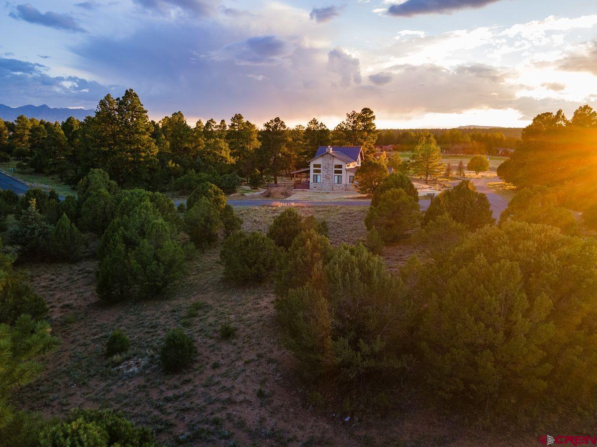 Tbd Pronghorn Lane Ridgway, CO 81432 - Photo 12 of 21 a view of a yard