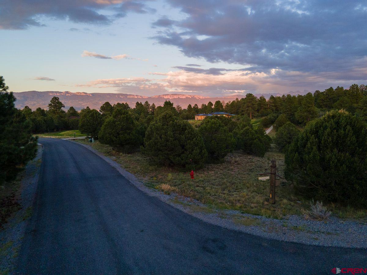 Tbd Pronghorn Lane Ridgway, CO 81432 - Photo 14 of 21 a view of a terrace with a yard