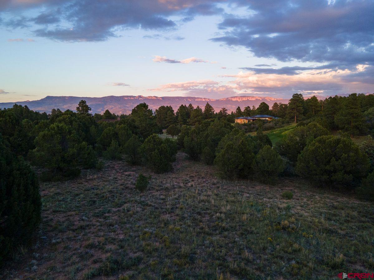 Tbd Pronghorn Lane Ridgway, CO 81432 - Photo 15 of 21 a view of a yard