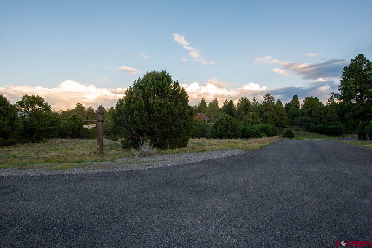 Tbd Pronghorn Lane Ridgway, CO 81432 - Photo 17 of 21 a view of a field with trees