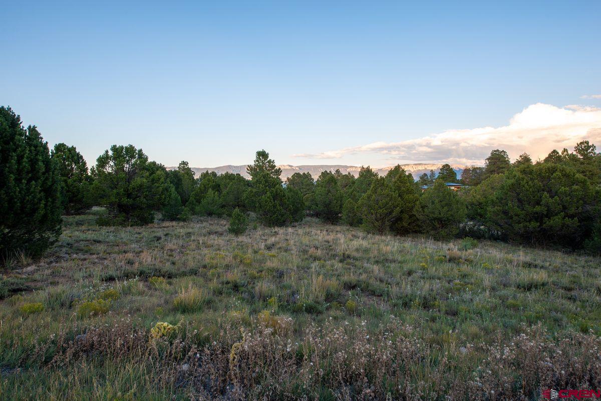 Tbd Pronghorn Lane Ridgway, CO 81432 - Photo 18 of 21 a view of an outdoor space with green field and trees