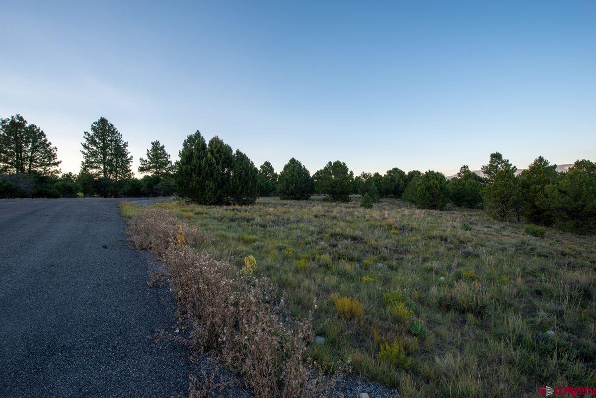 Tbd Pronghorn Lane Ridgway, CO 81432 - Photo 19 of 21 a view of a field with trees in background