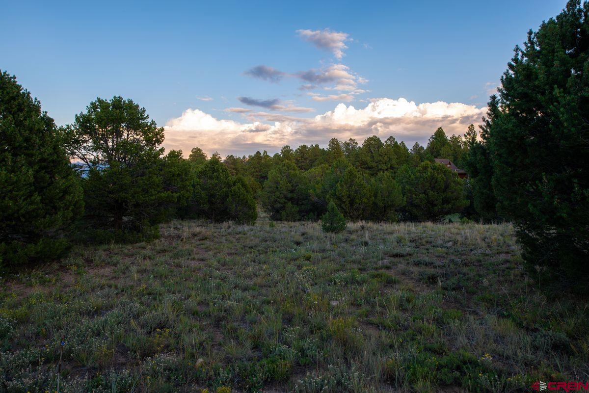 Tbd Pronghorn Lane Ridgway, CO 81432 - Photo 20 of 21 a view of a yard with a big yard and mountain view