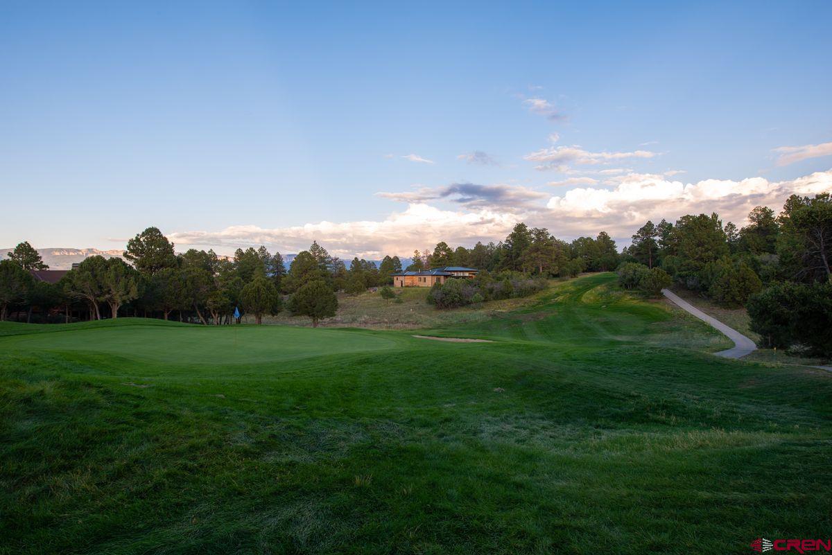 Tbd Pronghorn Lane Ridgway, CO 81432 - Photo 3 of 21 a view of a grassy field with trees