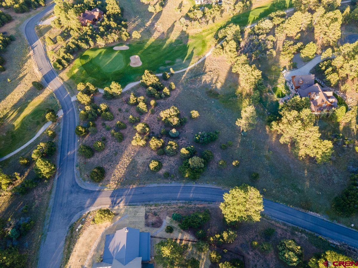 Tbd Pronghorn Lane Ridgway, CO 81432 - Photo 5 of 21 a view of a flower in a garden