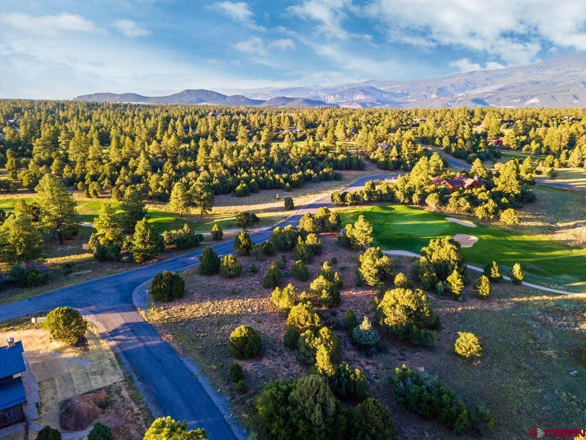 Tbd Pronghorn Lane Ridgway, CO 81432 - Photo 6 of 21