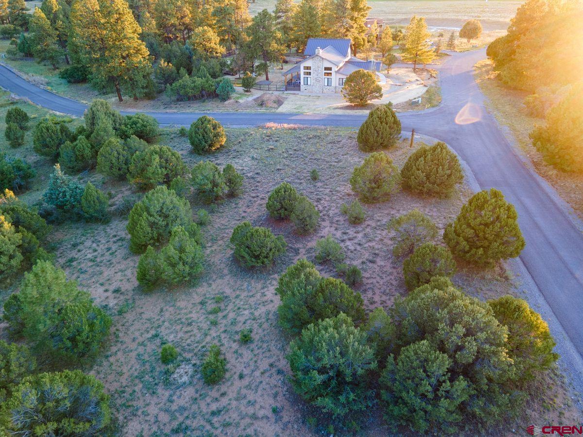 Tbd Pronghorn Lane Ridgway, CO 81432 - Photo 8 of 21 a view of backyard with green space