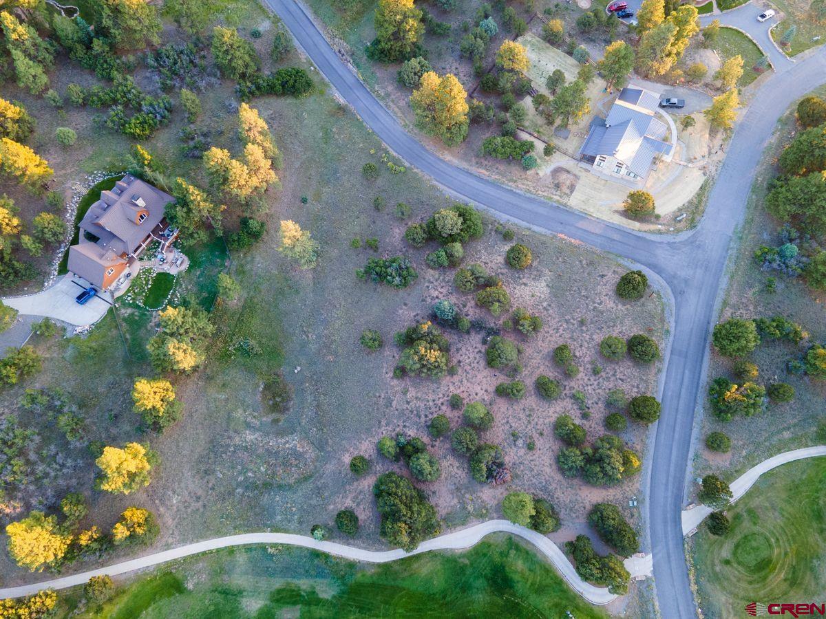 Tbd Pronghorn Lane Ridgway, CO 81432 - Photo 10 of 21 a picture of flowers