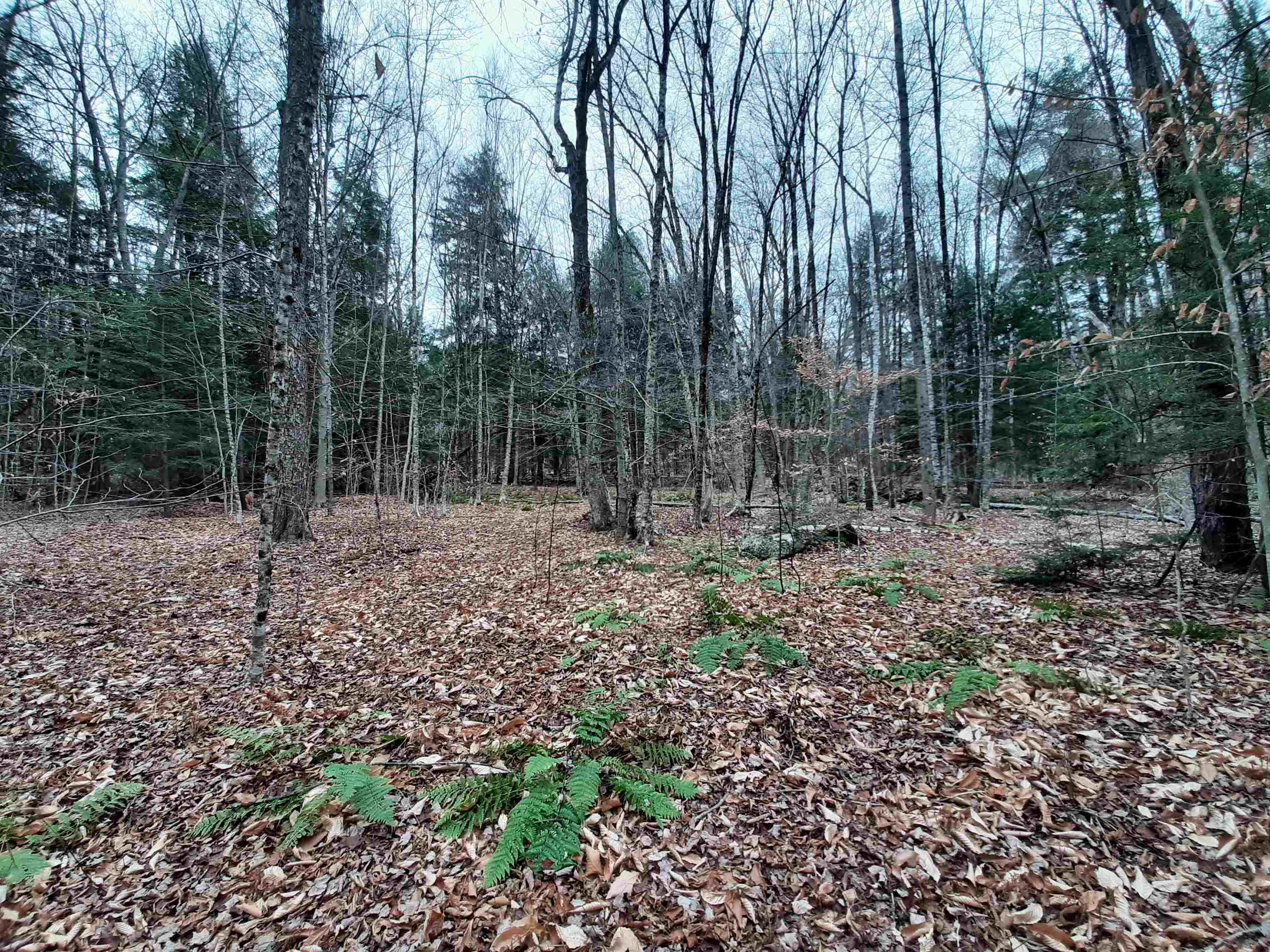 0 Trebo Road Chester, VT 05143 - Photo 3 of 5