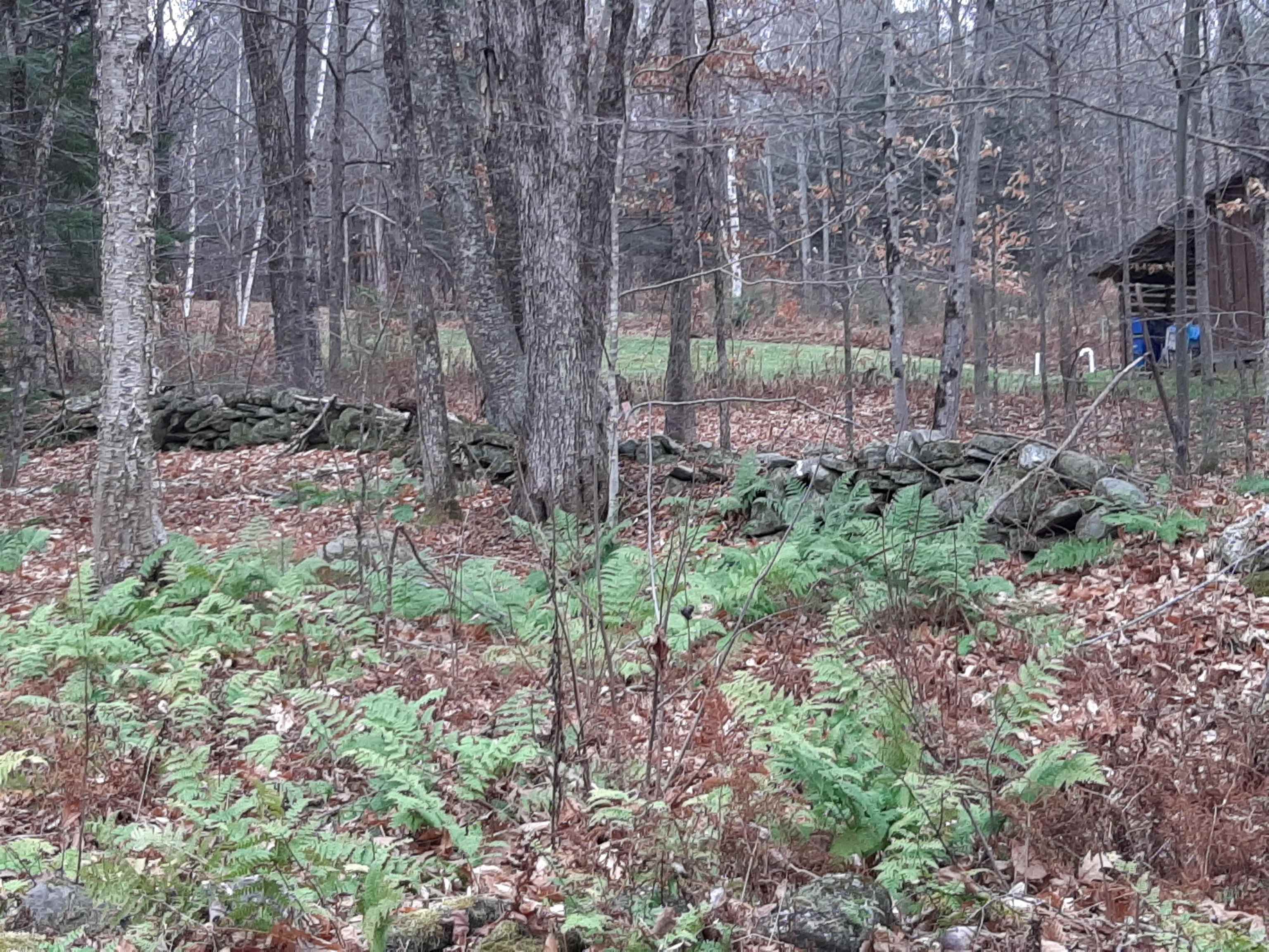 0 Trebo Road Chester, VT 05143 - Photo 4 of 5