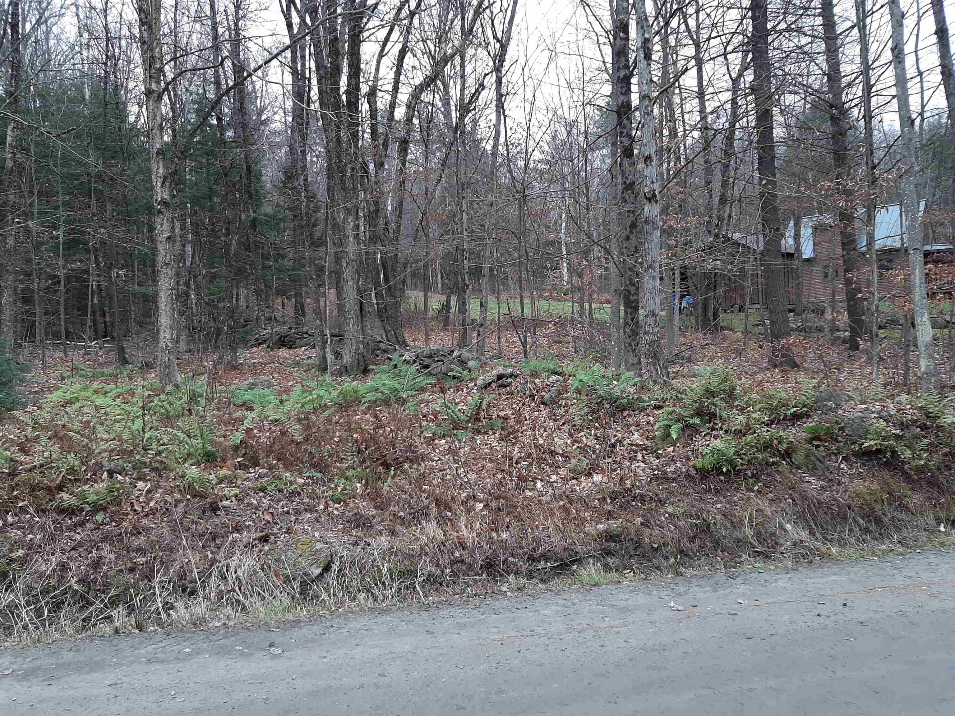 0 Trebo Road Chester, VT 05143 - Photo 5 of 5