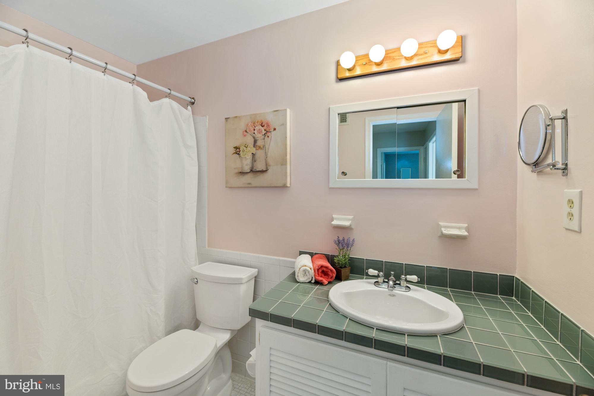 8427 Forrester Boulevard Springfield, VA 22152 - Photo 26 of 49 Hall bath