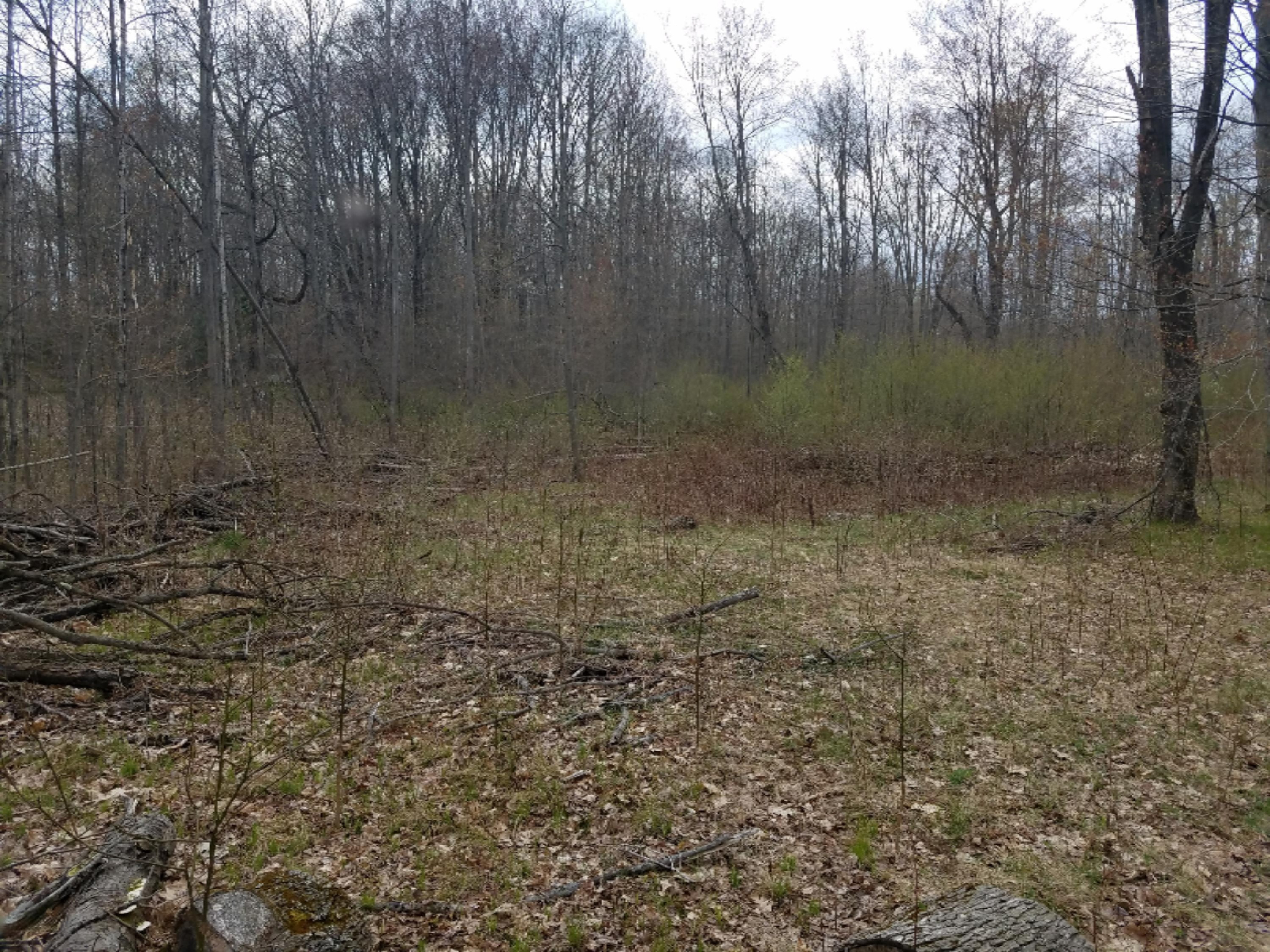 6862 East Loop Road Hesperia, MI 49421 - Photo 5 of 7 20180506_165737