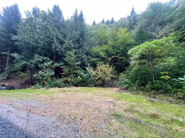 $50,000 | 667 Hinkley Brook Road, Grafton, VT 05146