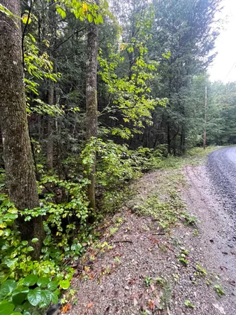 $50,000 | 667 Hinkley Brook Road, Grafton, VT 05146