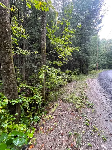 $50,000 | 667 Hinkley Brook Road, Grafton, VT 05146