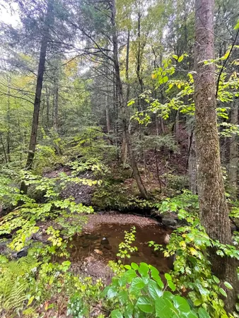 $50,000 | 667 Hinkley Brook Road, Grafton, VT 05146
