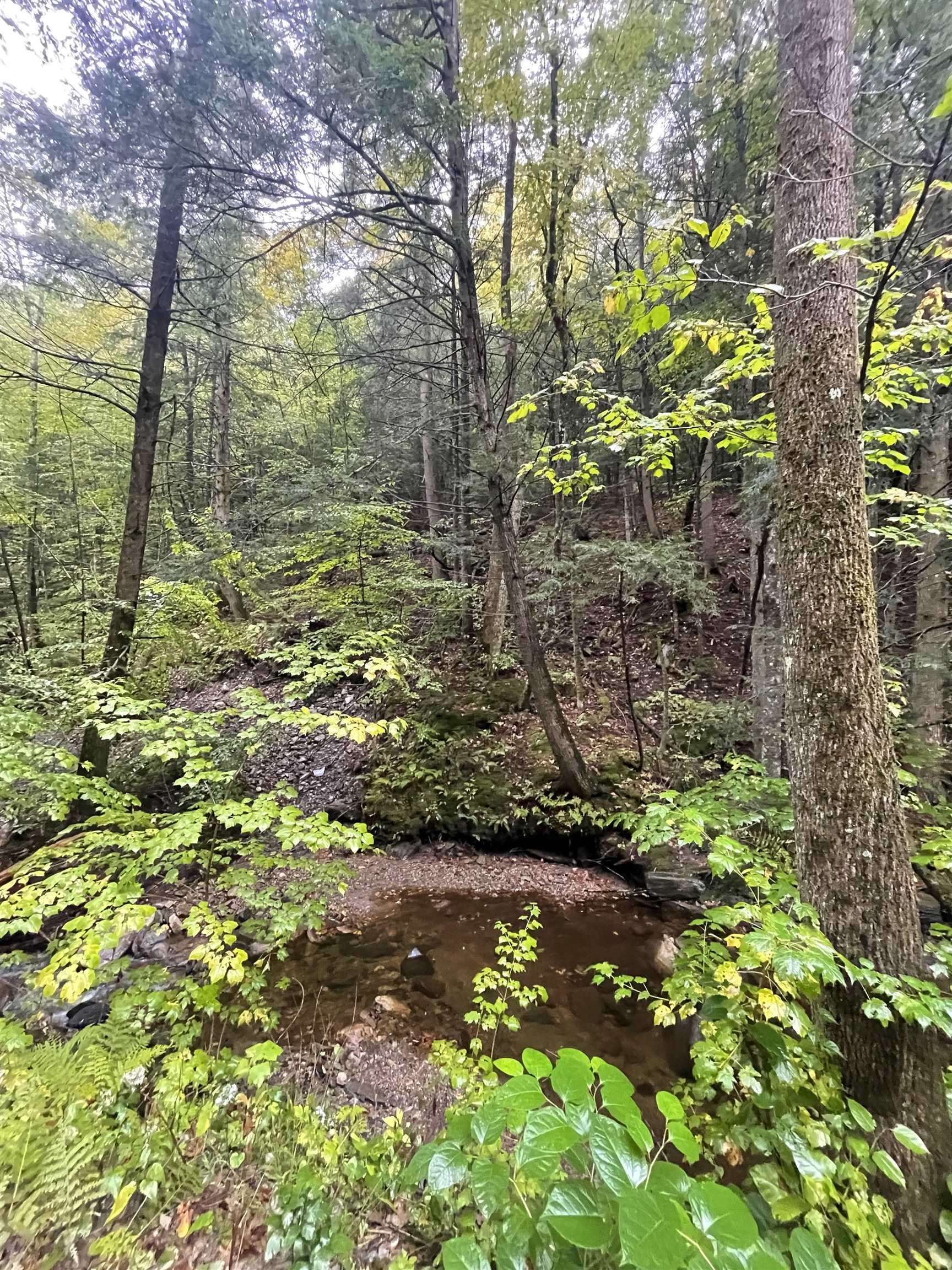 667 Hinkley Brook Road Grafton, VT 05146 - Photo 12 of 12
