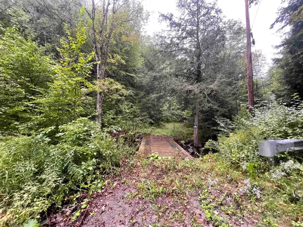 $50,000 | 667 Hinkley Brook Road, Grafton, VT 05146