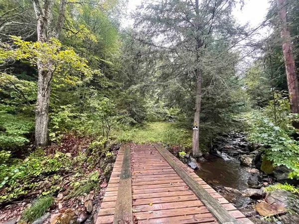 $50,000 | 667 Hinkley Brook Road, Grafton, VT 05146