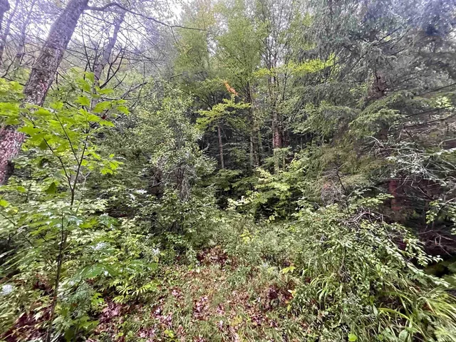 $50,000 | 667 Hinkley Brook Road, Grafton, VT 05146