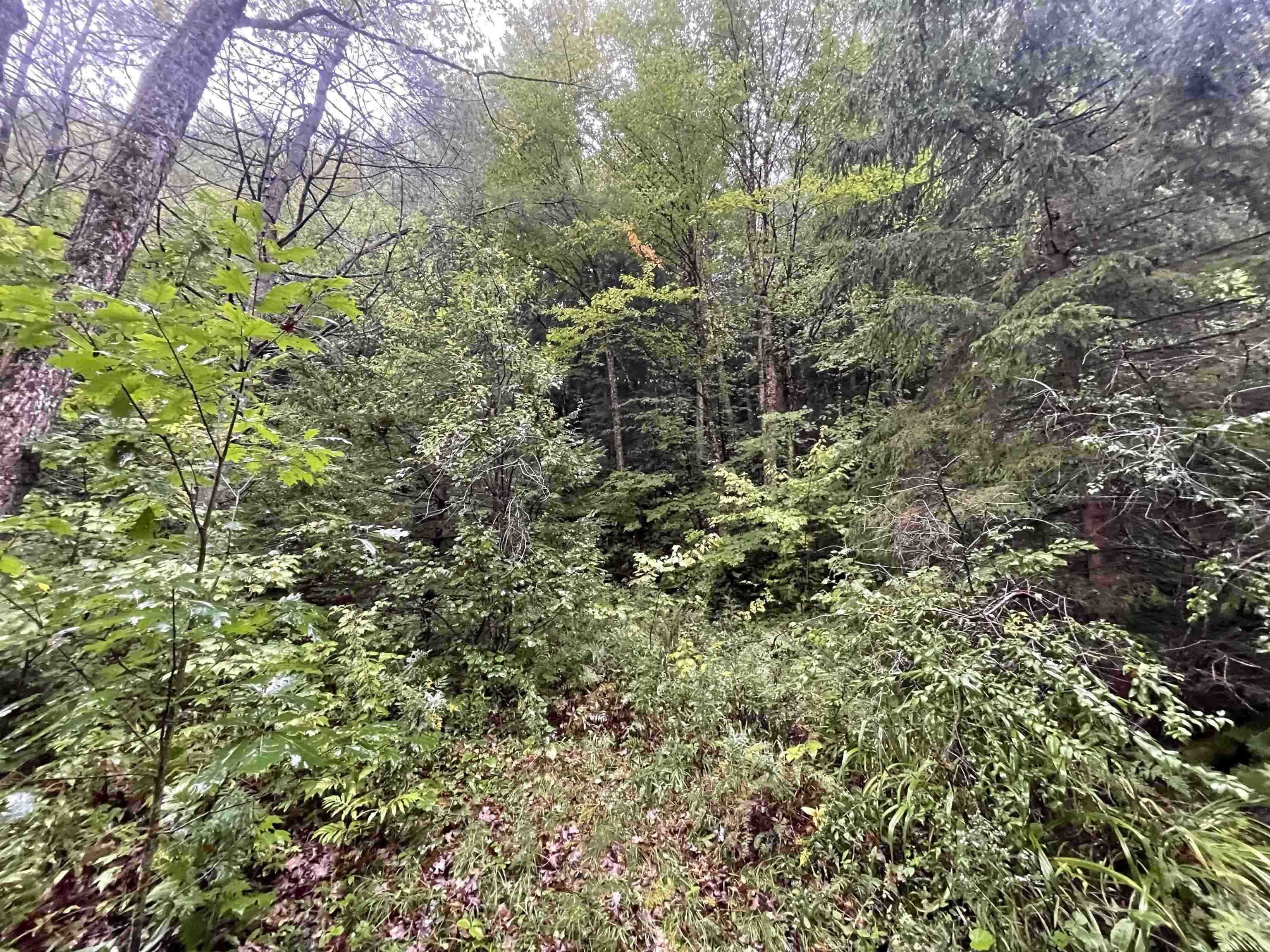 667 Hinkley Brook Road Grafton, VT 05146 - Photo 4 of 12