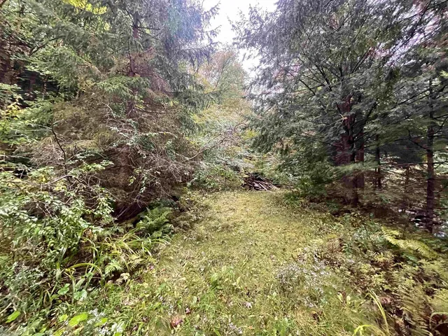 $50,000 | 667 Hinkley Brook Road, Grafton, VT 05146