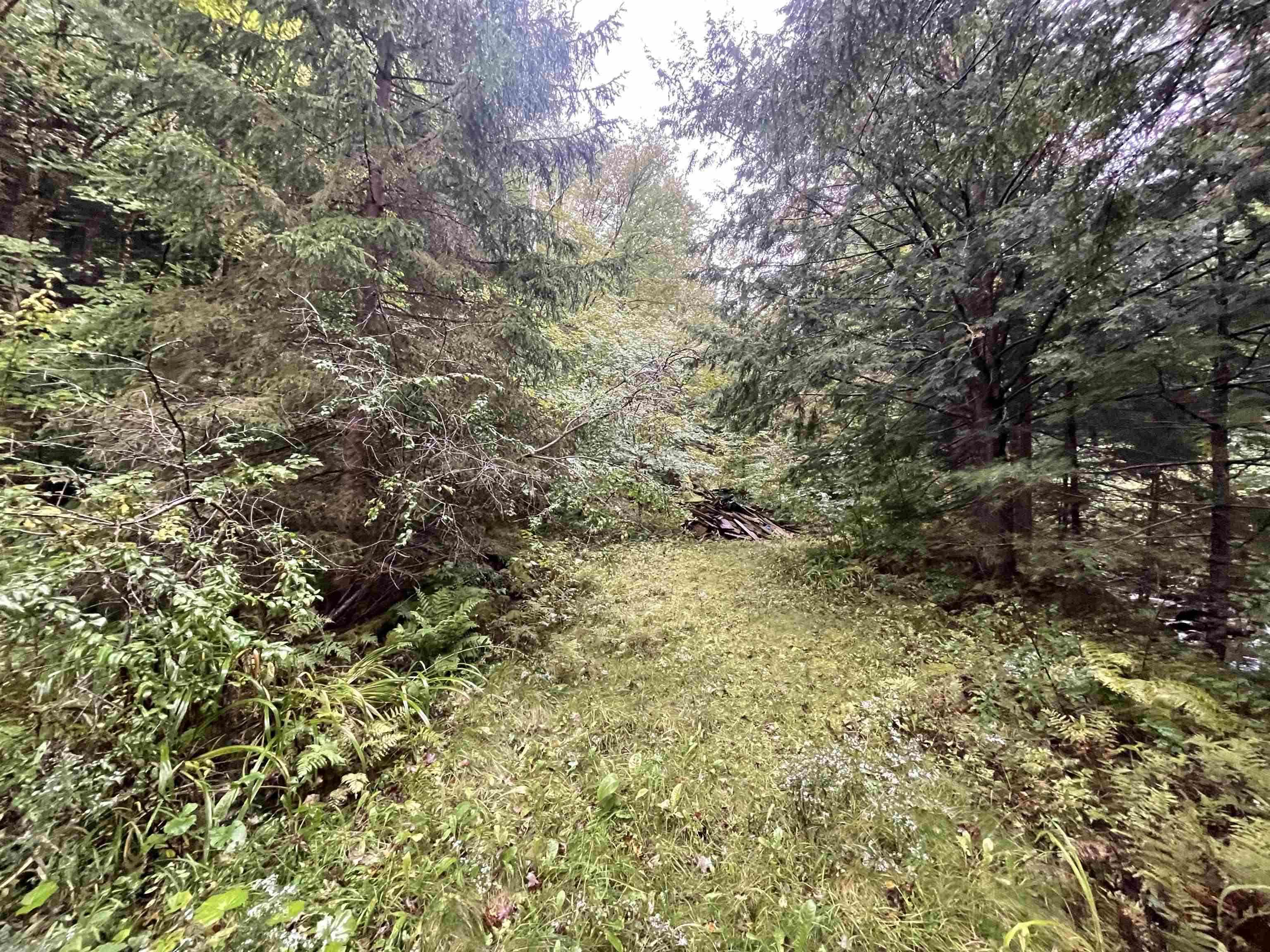 667 Hinkley Brook Road Grafton, VT 05146 - Photo 5 of 12