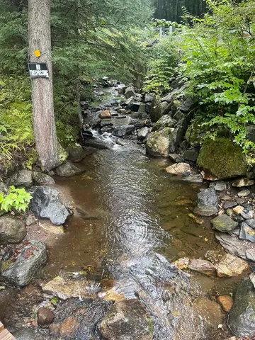 $50,000 | 667 Hinkley Brook Road, Grafton, VT 05146