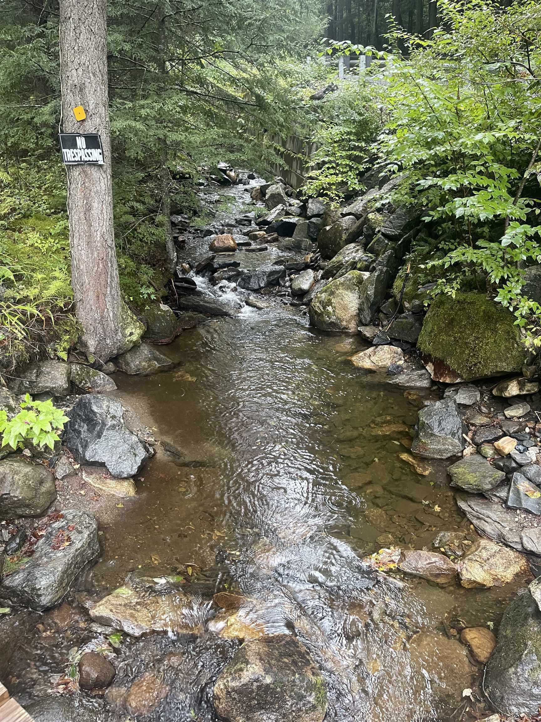 667 Hinkley Brook Road Grafton, VT 05146 - Photo 6 of 12