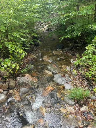 $50,000 | 667 Hinkley Brook Road, Grafton, VT 05146