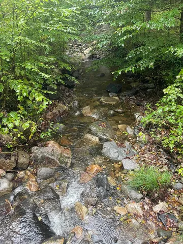 $50,000 | 667 Hinkley Brook Road, Grafton, VT 05146