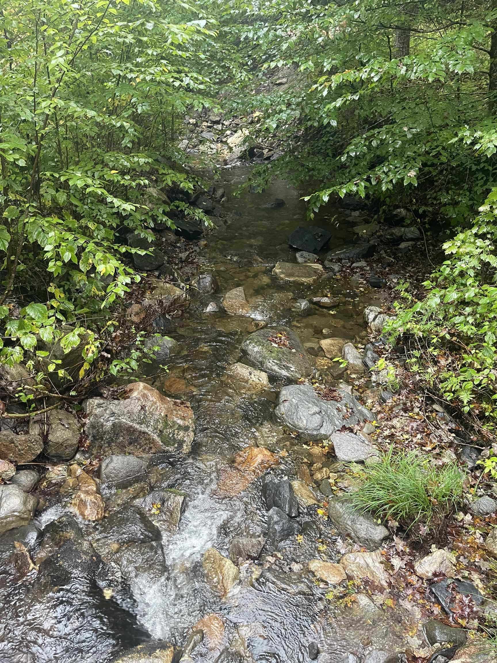 667 Hinkley Brook Road Grafton, VT 05146 - Photo 7 of 12