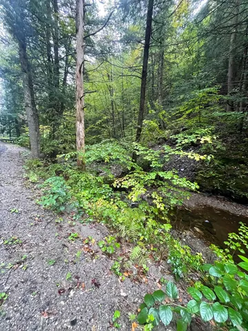 $50,000 | 667 Hinkley Brook Road, Grafton, VT 05146