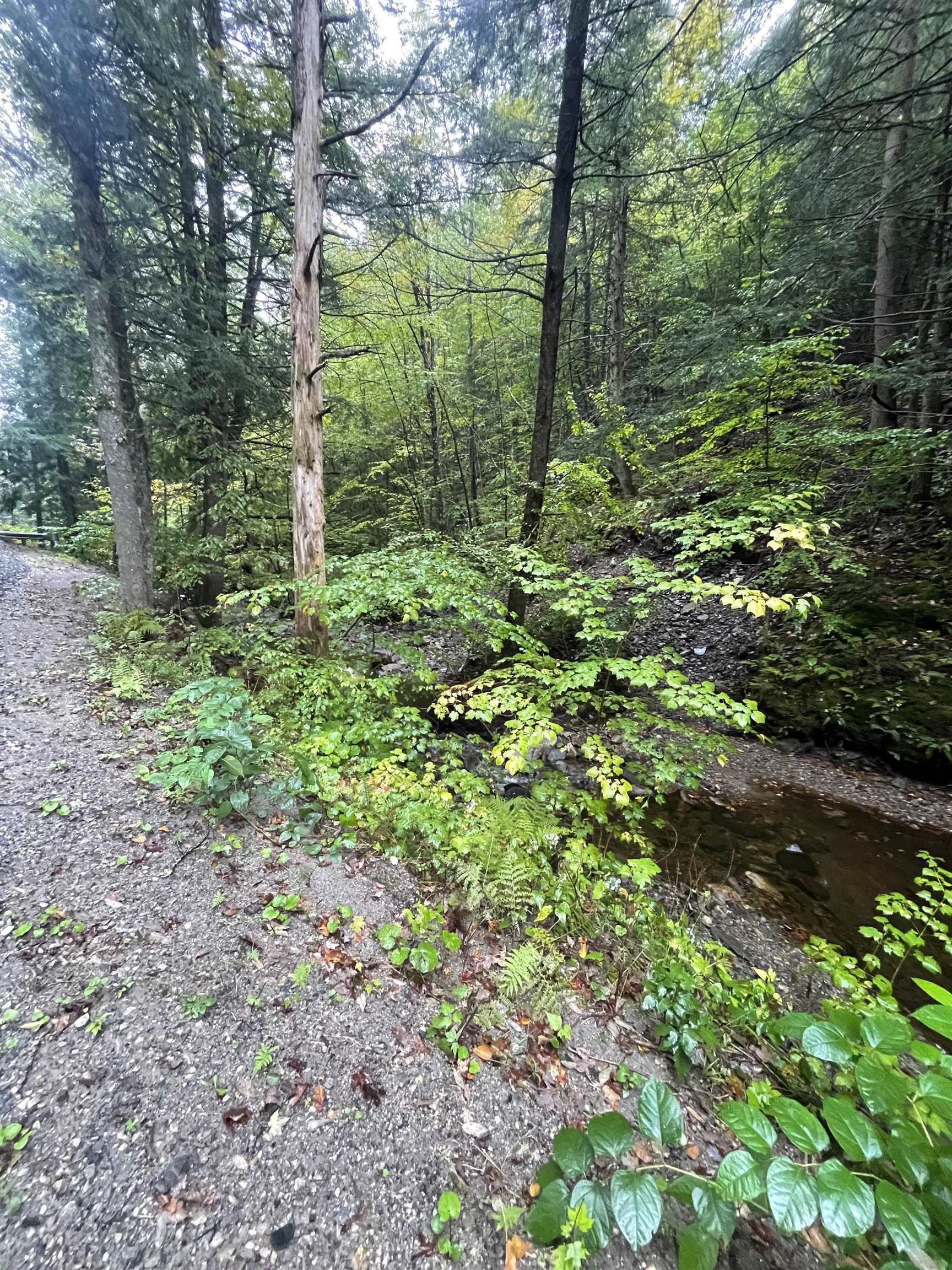667 Hinkley Brook Road Grafton, VT 05146 - Photo 9 of 12