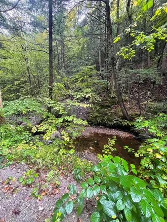 $50,000 | 667 Hinkley Brook Road, Grafton, VT 05146