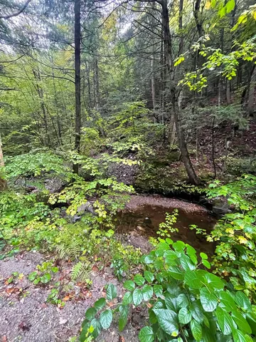 $50,000 | 667 Hinkley Brook Road, Grafton, VT 05146