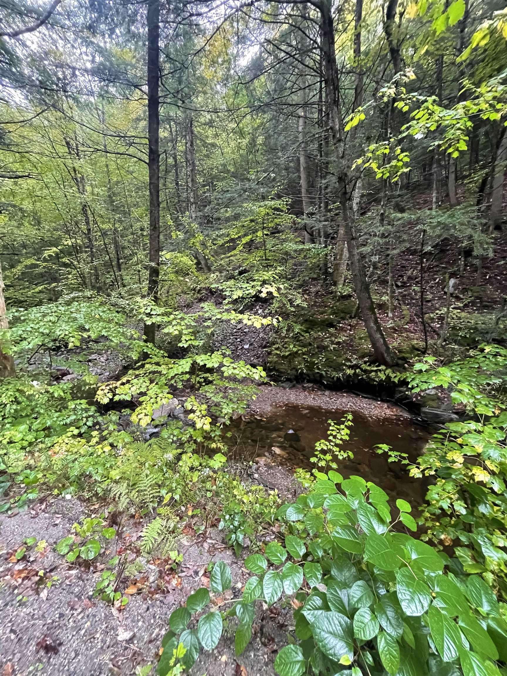 667 Hinkley Brook Road Grafton, VT 05146 - Photo 10 of 12