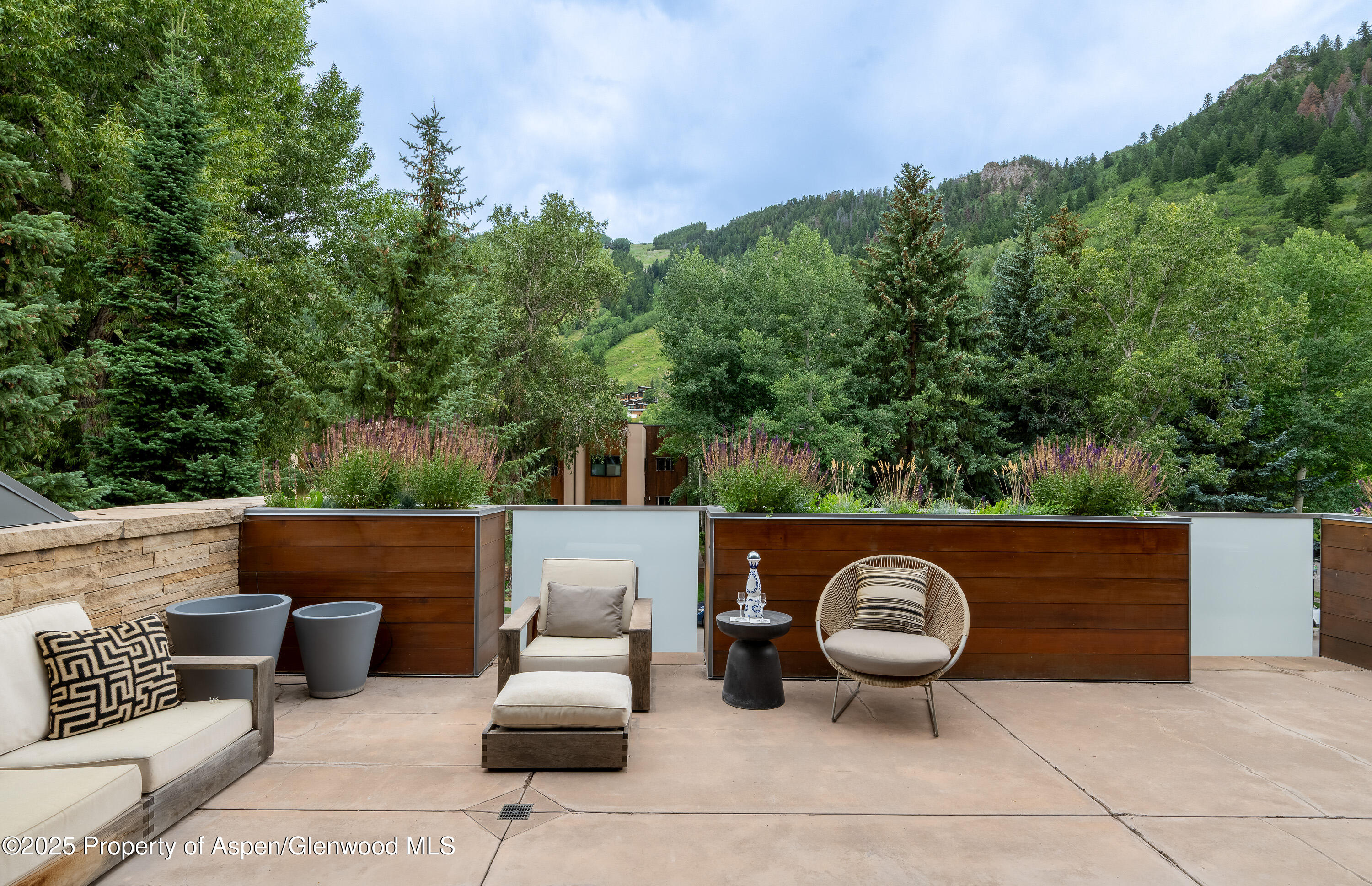 100 East Cooper Avenue, Unit 11 Aspen, CO 81611 - Photo 40 of 44 a view of patio with couches and a fire pit