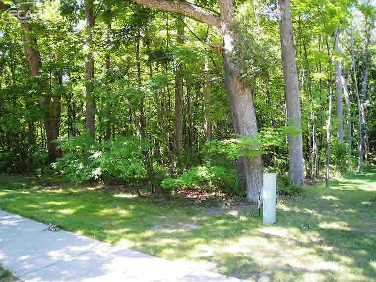 0 Thompson Howell, MI 48843 - Photo 3 of 12