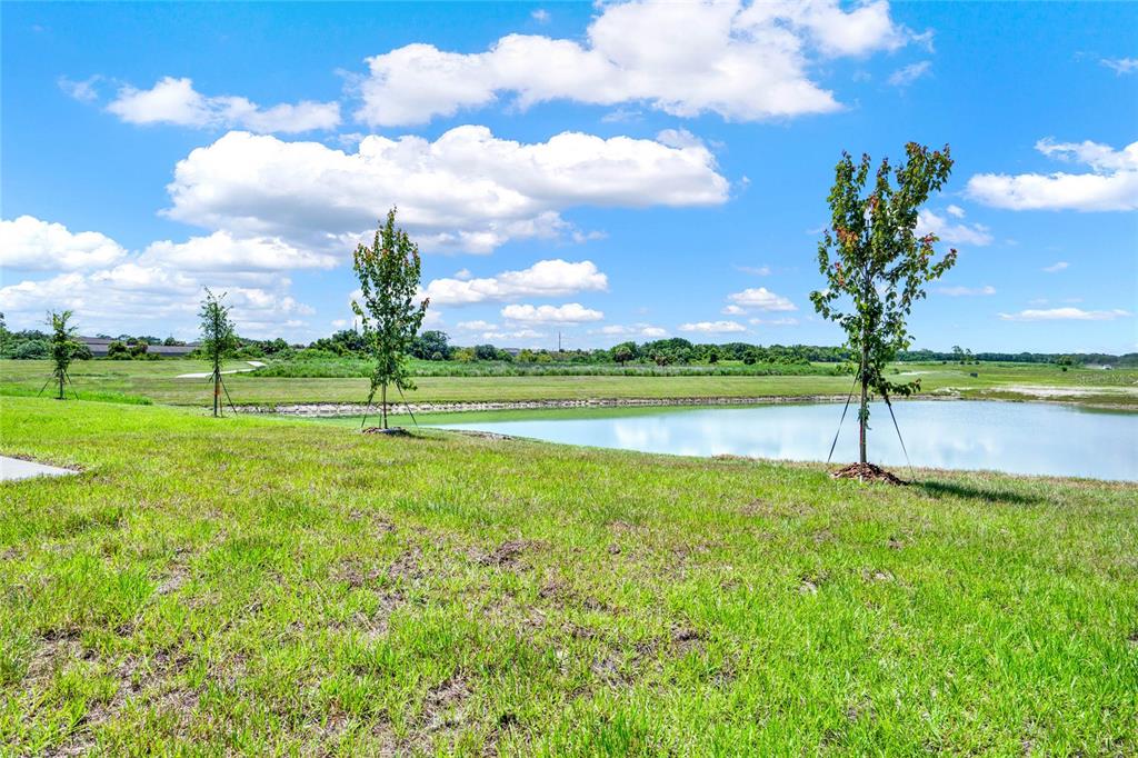 517 Bell Prairie Circle Lake Wales, FL 33859 - Photo 14 of 42 a view of a golf course with a lake