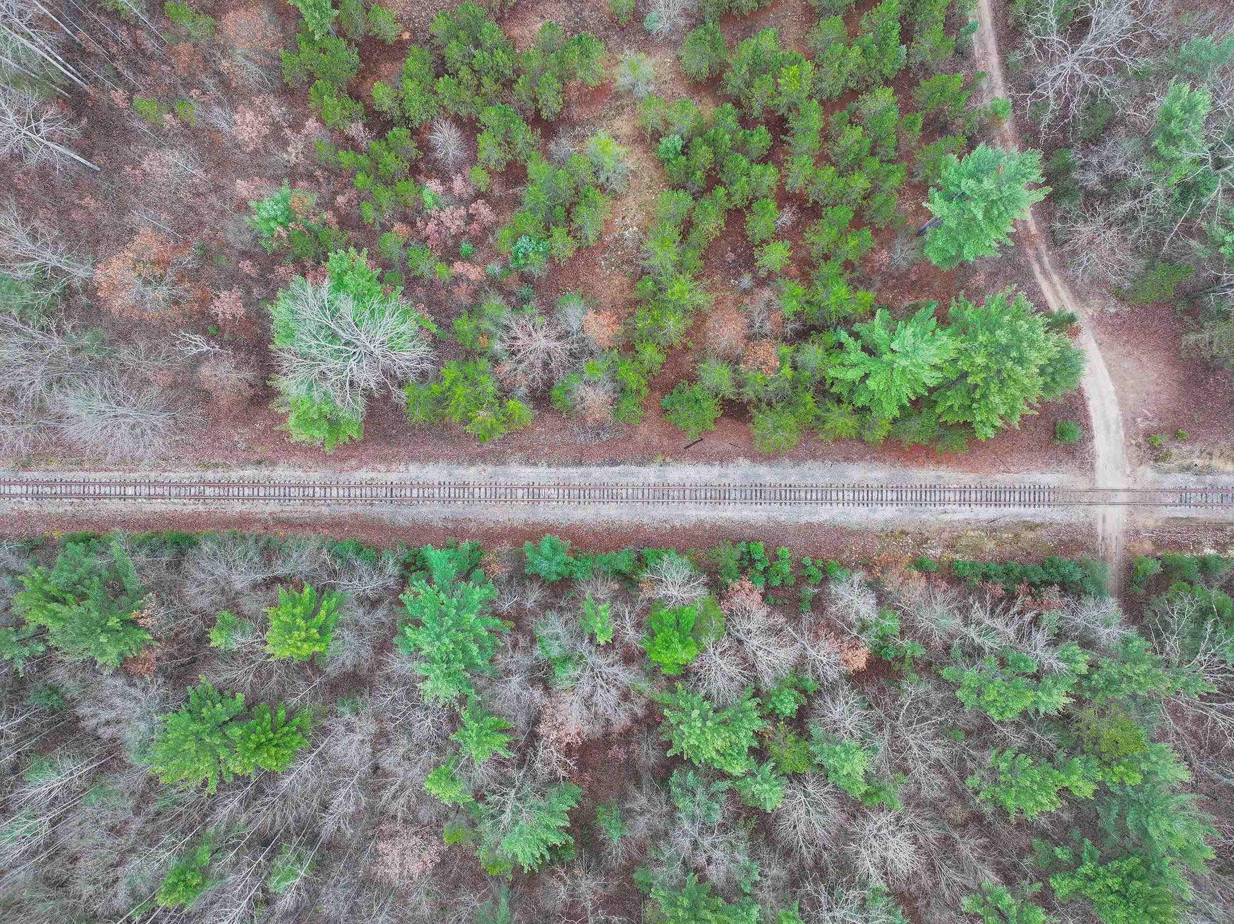 Parcel D Northeast Parcel D Ne Hodge Road Kingsley, MI 49649 - Photo 7 of 12