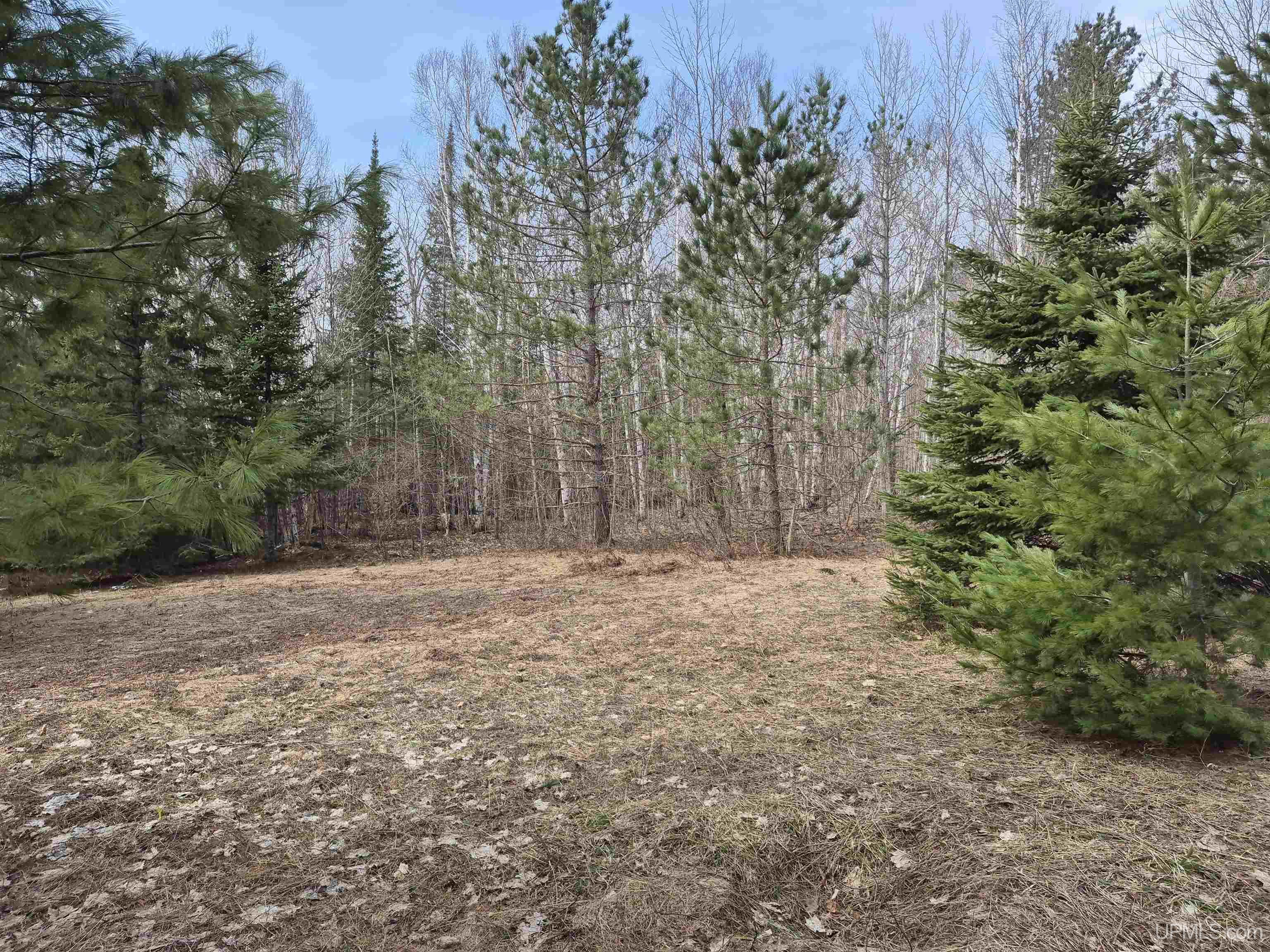 East 20 Quarry Road Gulliver, MI 49840 - Photo 4 of 47